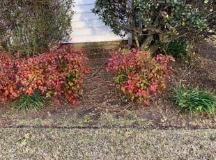 Cleanups by Anthony Bartell for Tiffany T. in Norfolk, VA