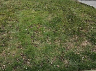 Leaf Removal by Frederick Griner for Cheryl H. in Waterville, OH