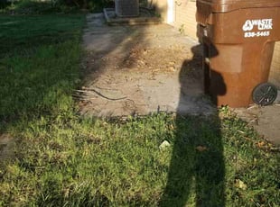 Leaf Removal by William Beacham for Krista B. in Wichita, KS