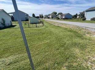 Ryan G.'s Grass Cutting service result