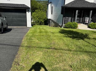 Bush Trimming by Joshua Vega for Adam A. in Mahwah, NJ