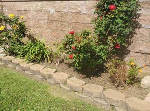 Weeding by Brian Goodell for Frank T. in Oceanside, CA