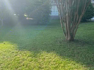 Melvin G.'s Leaf Removal service result