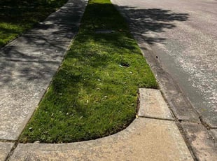 Leaf Removal by Jose Gil for Jordan W. in Pearland, TX