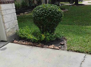 Bush Trimming by Hector Cruz for Joseph T. in Spring, TX