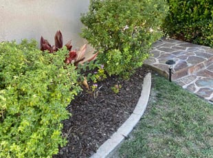 Mulching by Nicholas Poulsen for Chris Z. in San Diego, CA