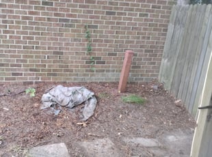 Leaf Removal by Jeremy Hassell for George B. in Newport News, VA
