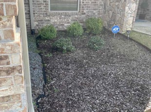 Bush Trimming by Curtis Stewart for Darrell G. in Maumelle, AR