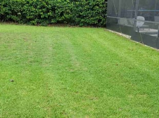 Efe P.'s Yard Cutting service result
