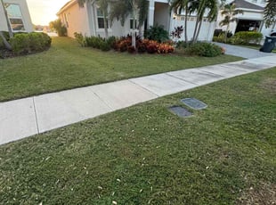 Danara C.'s Lawn Care service result