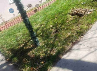 Leaf Removal by Charles Beck for Julie C. in Colorado Springs, CO