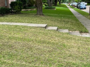 Bush Trimming by Stephanie Pascoe for Rebecca C. in Mesquite, TX