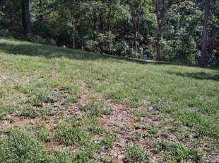 Mulching by Joseph Salman for Erica J. in Valley Park, MO