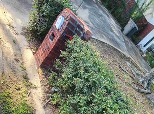 Cynthia D.'s Bush Trimming service result