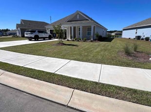 Albert R.'s Lawn Mowing service result
