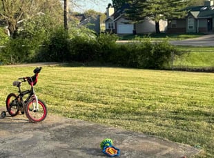 David C.'s Yard Cutting service result