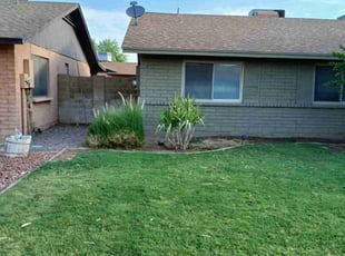 Bush Trimming by Roman Freese for Arthur K. in Mesa, AZ