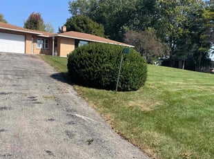 Bush Trimming by Jennifer Rose for Jeremy E. in Fitchburg, WI