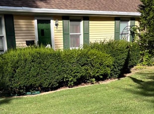 Susan M.'s Grass Cutting service result