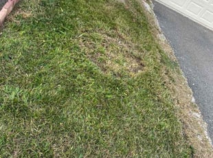 Cleanups by Nabz S for Arsalan S. in Fairfax, VA
