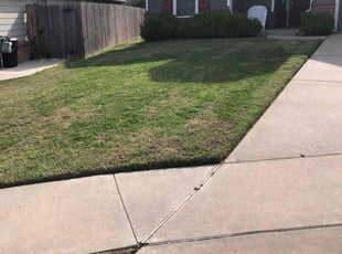 Cindy D.'s Lawn Care service result