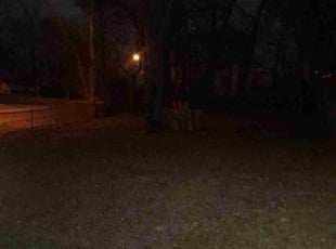 Leaf Removal by Cisco Harris for Edna P. in Kansas City, MO