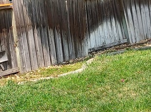 Weeding by Juan Rodriguez for Eric L. in Elk Grove, CA