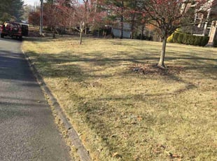 Leaf Removal by Ali Awad for Shashi K. in Upper Saddle River, NJ