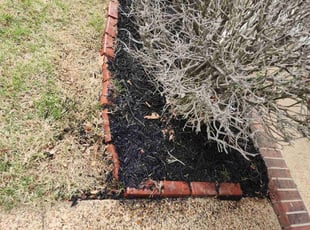 Weeding by James Crunk for Jimmy B. in Arlington, TN