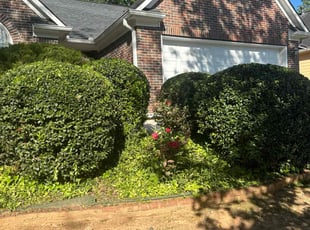 Bush Trimming by Cornelia Smith for JC S. in Lilburn, GA
