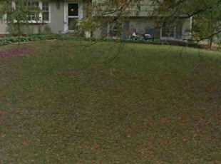 Leaf Removal by Bill Giampa for Melissa D. in Alexandria, VA