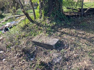 Cleanups by Samuel Jordon for Marlon G. in Baltimore, MD