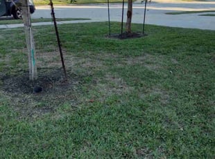 Weeding by Daniel Campos for Alex S. in Humble, TX