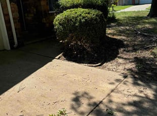 Bush Trimming by Imunique Hill for Joey S. in Broken Arrow, OK