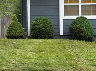 Weeding by Charles Jones for Donna T. in Lee's Summit, MO