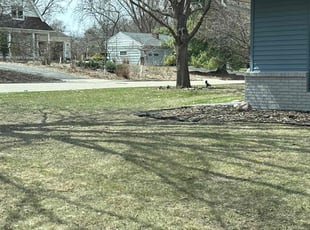 Larry W.'s Lawn Mowing service result