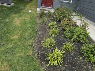 Weeding by Josue Perez Rios for Aaron R. in Jarrell, TX