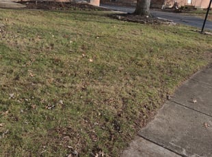 Leaf Removal by Chris Steinhour for Amber -. in Mifflin Township, OH
