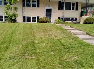 Bush Trimming by Rómulo González for Darryl S. in Temple Hills, MD