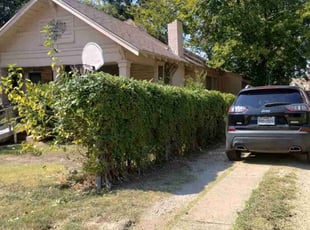 Bush Trimming by Mario Castro for Misha N. in Fort Worth, TX