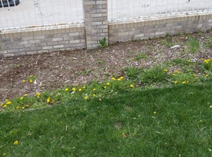 Cleanups by Gregory Lillibridge for Yana K. in Denver, CO
