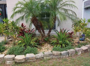 Tricia Q.'s Bush Trimming service result