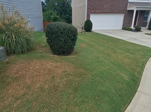 Bush Trimming by Jason Mauldin for Paul K. in Sugar Hill, GA