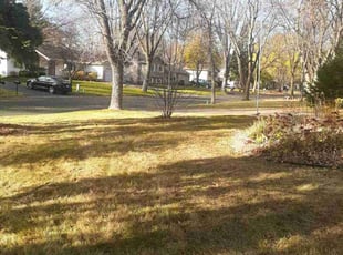Leaf Removal by Jeremy Osell for Deklan P. in Maple Grove, MN