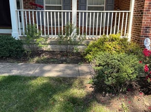 Leaf Removal by Sean Bailey for Bruce C. in Stafford, VA