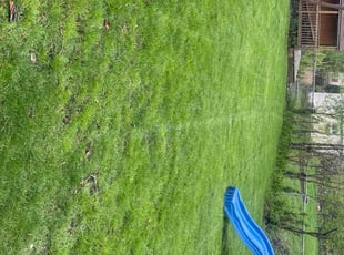 Deb K.'s Lawn Care service result