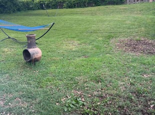Daymion W.'s Leaf Removal service result