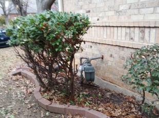Bush Trimming by Eve Solis for Jennifer B. in Grapevine, TX