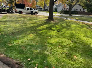Leaf Removal by Japheus Sanders for Ryan l. in Royal Oak, MI