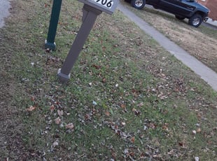 Leaf Removal by Robert Westwood for Nicholas S. in Louisville, KY